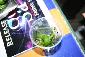 The rain did little to dampen the spirits of Cinco de Drinko