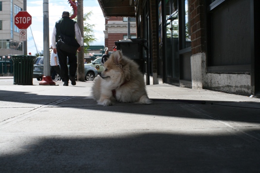 Found him resting in the shade.