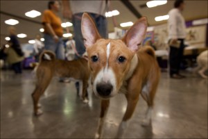 Turn around, I want to say hi!