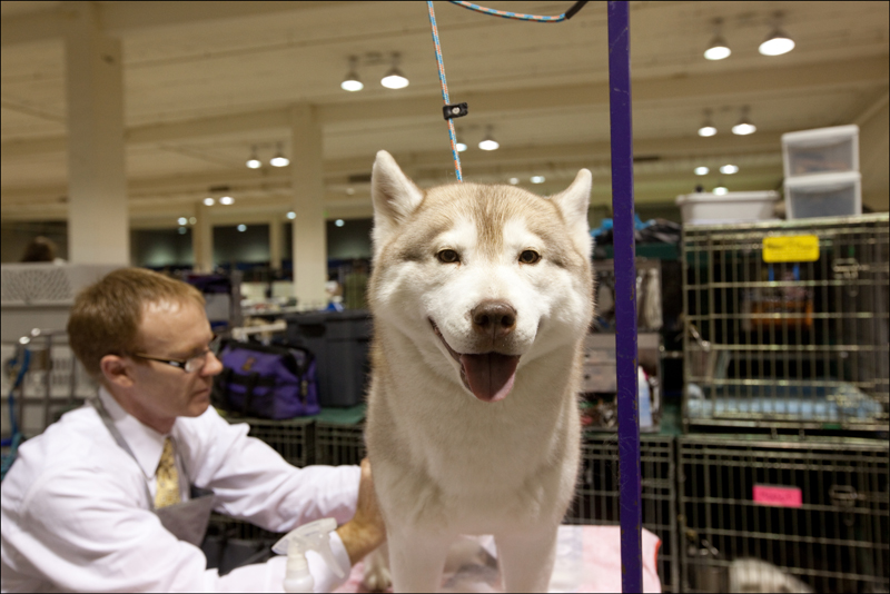 Some serious happy dog.