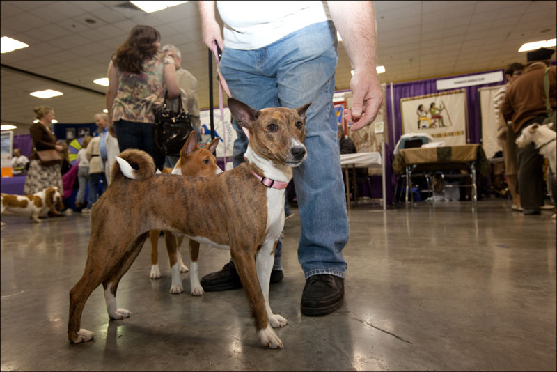 I AM sucking it in, ok?! Jeez!