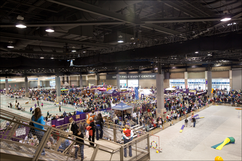 LOTS of people like the dog show.