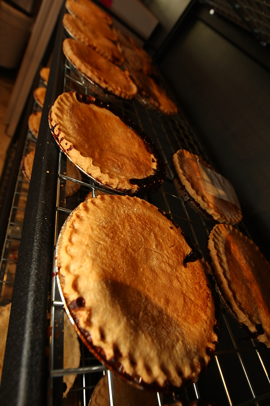 SEATTLE, WA FRIDAY AUGUST 21, 2009 Seattle Pie Company in Magnolia. (Photo by Kevin P. Casey)