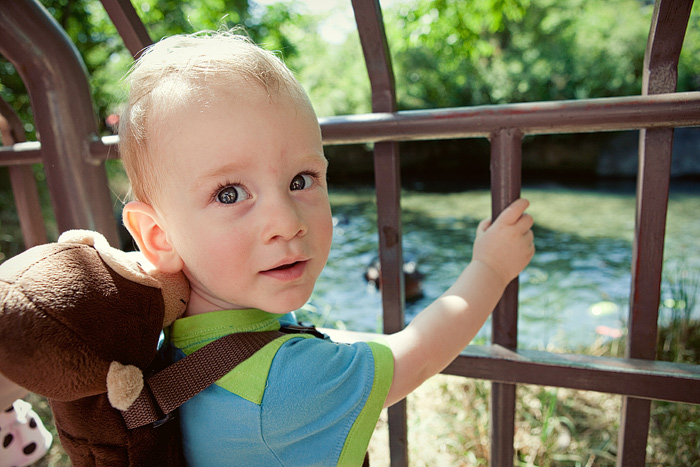 Jack hangs out by the hippos.