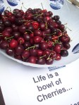 Robert Rosencrantz says he went to Safeway intending to do something complicated when he saw that cherries were $1.88 a pound. He doesn't know what species they are (Do I look like a botanist?) but argues that in bringing something so simple, he's showing creativity and fiscal responsibility.
