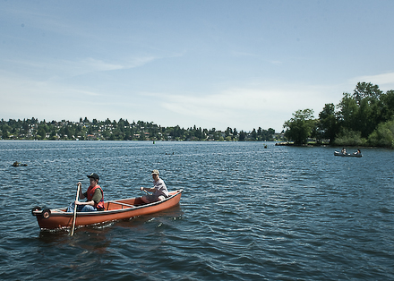 Sunny, summer weather calls for canoing in one of Seattle's many waterways. Wednesday's Photo of the Day captures some canoers in Union Bay.