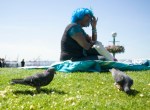 Popcorn easily makes good company of birds at Victor Steinbrueck Park. Take a look at our collection of Photo of the Day shots.