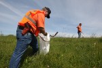 A group from OpenCarry.org pick up trash along their area along Interstate 5 Freeway near Fife as part of the Adopt-A-Highway program on Sunday, May 17, 2009. The group supports the right to carry a firearm . (Kevin P. Casey/Seattle Weekly)
