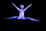Tamara the Trapeze Lady takes flight at Vamps + Vixens at Julia's on Broadway.