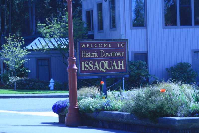 I've literally spent hours on the streets of Issaquah stocking up on last-minute provisions.