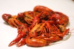 Crawfish at Crawfish King in Seattle on Sunday May 3, 2009. (Kevin P. Casey/Seattle Weekly)