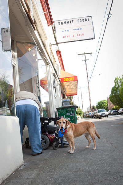 Gretchen holds her leash while her owner plugs in his electric wheelchair.