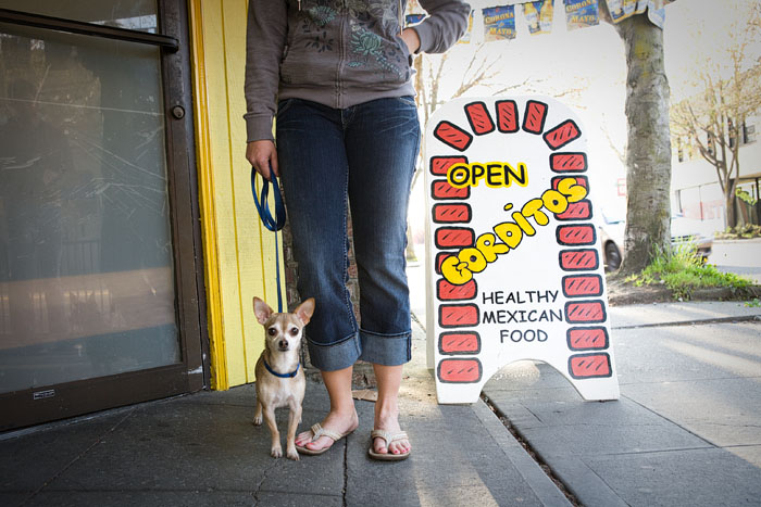Jen waits for a burrito the size of Pete, her pet Chihuahua, at Gorditos.