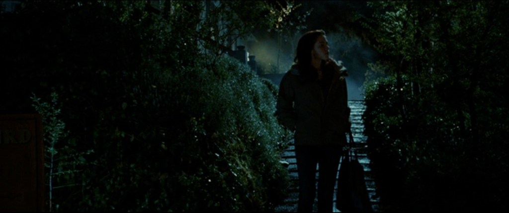 Then Bella Swan moved to Forks. And she needed a bag.