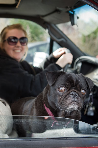 Only in Seattle do we name our pooches after NPR personalities. Meet Mr. Ulaby, a 5-year-old rescued smooth-coated Brussels Griffon, named after the NPR reporter Neda Ulaby.