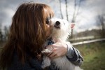 6-month-old Winston the Westie with his owner Judi.