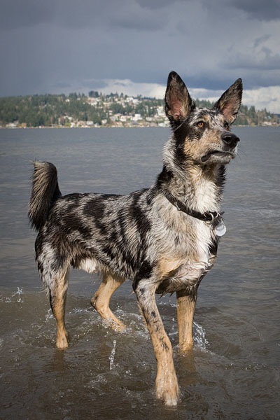 Jackson will now take your questions.