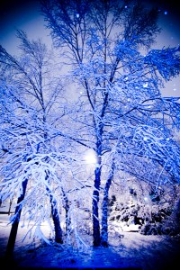 January 2009 will be remember for its snow...