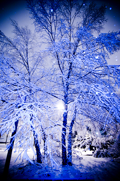 January 2009 will be remember for its snow...