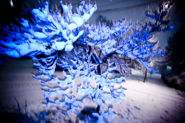 Sunday snow on Capitol Hill.