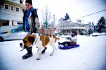 The sleds, the dogs, the people, and the air mattresses. All photos