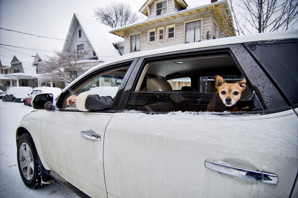 The sleds, the dogs, the people, and the air mattresses. All photos