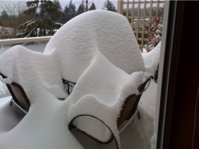 Damon's mom, Betty Agnos, had hoped to have a tea party Sunday afternoon in Shoreline.