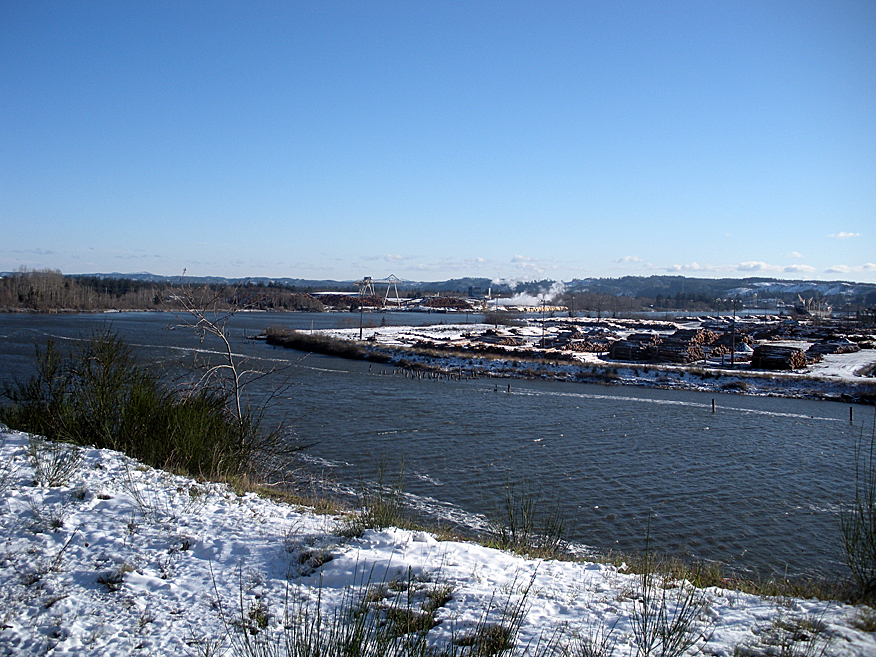Kids sledding in the streets, buses in the ditch, and a fish