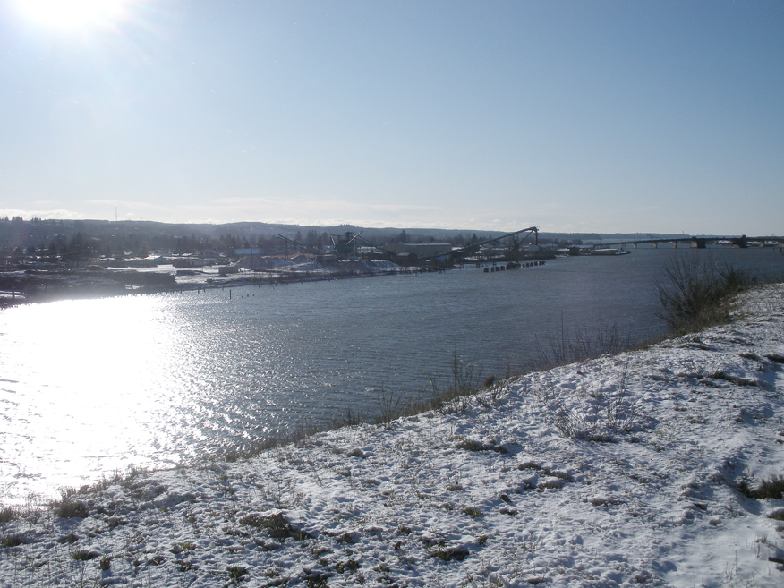 Kids sledding in the streets, buses in the ditch, and a fish