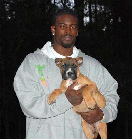 Michael Vick Should Be Allowed Back in the NFL: If anyone can find a case where someone has paid a greater price for dog fighting than please post it. Two years in jail and losing $100 million is a heavy price to pay. It is the heaviest sentence EVER for dog fighting. Enough is enough. Let the man run around with a football and provide for his family. Michael Vick would like to personally thank Pacman Jones for guaranteeing his chance to return to the NFL. If you think Michael Vick is a poor human being that shouldn't be playing in the NFL, please do a google search on Leonard Little and get back to me. - Submitted by Dick Fur