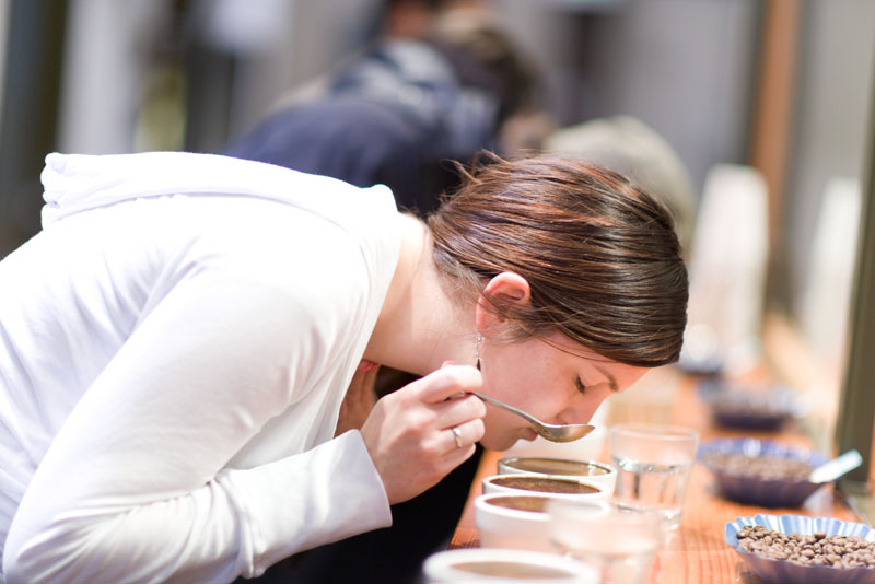 At Stumptown, you donaE™t ask for a bag of aEœPanamanianaE anymore, darling. ItaE™s aEœPanama Duncan Estate,aE distinguished from Panama Don Pachi or Panama Esmerelda (batch #2).