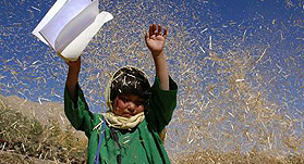 Buddha Collapsed Out of Shame: The 2001 destruction of the famous giant Buddhas in the Bamiyan region of Afghanistan has already been the subject of a documentary or two. What Hana MakhmalbafaE”of the famous Iranian filmmaking familyaE”hoped to do with the subject isnaE™t clear in this tortuously slow, grindingly obvious debut feature. (NR) BRIAN MILLER SIFF Cinema: 9:15 p.m., Monday, June 9 (Also: Egyptian, 7 p.m. Wed., June 11.)