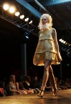 Local designers showed off their wares to help raise money for the