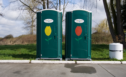 Even the porto potties got dressed up for the Tulip Festival.
