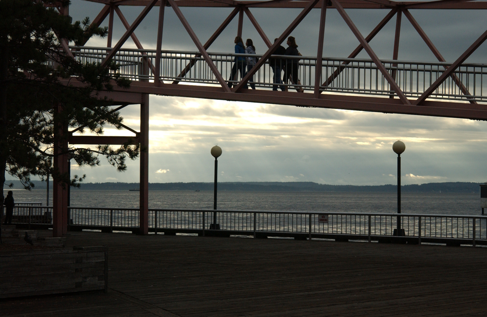 The Bay Pavilion, a.k.a. Pier 57, includes this soaring walkway.