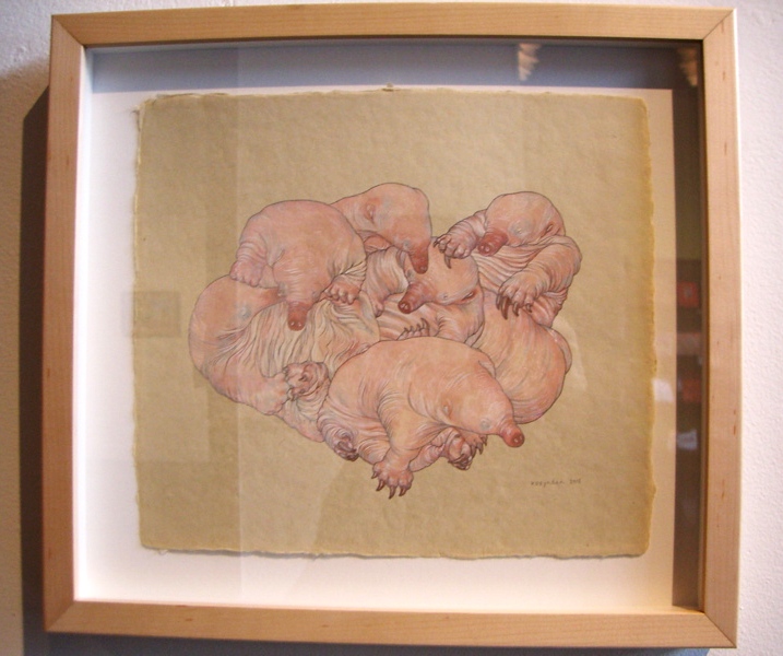 With their current exhibit, "A Cabinet of Natural Curiosities," Roq la Rue