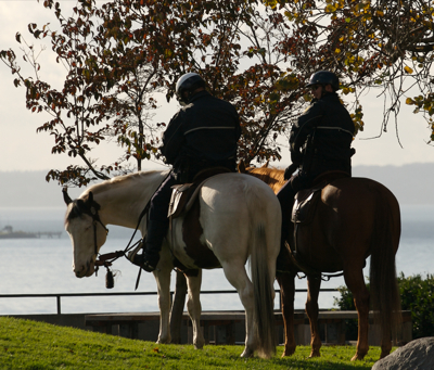 Here is a look at people around Seattle the week of Nov.