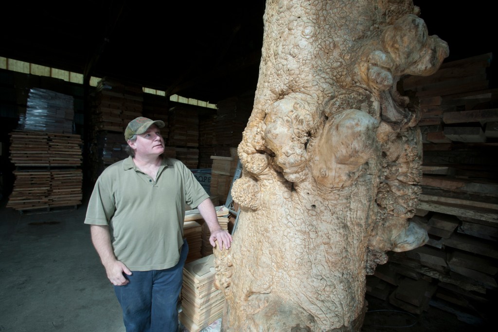 Bold words: Cutline here cutline here cutline here Bold words: Cutline here cutline here cutline here Bold words: Cutline here cutline here cutline here Bold words: Cutline here cutline here cutline here