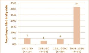 As I and others have reported, the fin whale that washed ashore