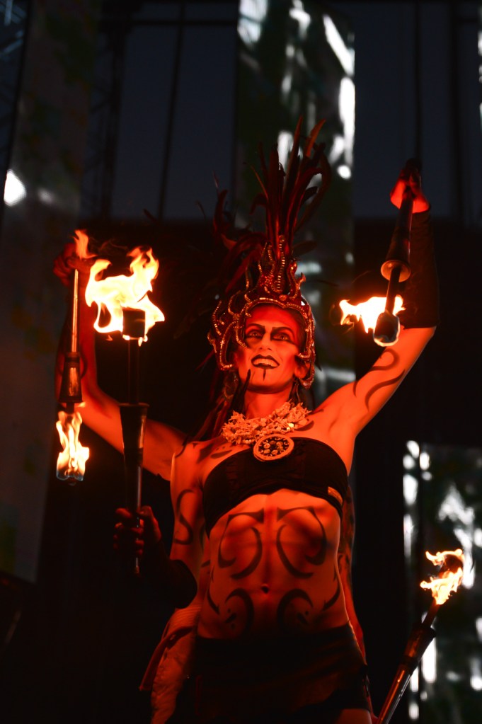 This weekend’s EDM festival Paradiso featured artists Tiesto, Kaskade, Zeds Dead and