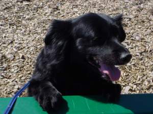 So it’s, like, pretty fucking hot outside. Maybe you’ve heard the news