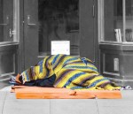 Jay T. Morris is a 52-year-old man with a pit bull named