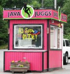 The owner of the alleged drive-through brothels learned from the best.