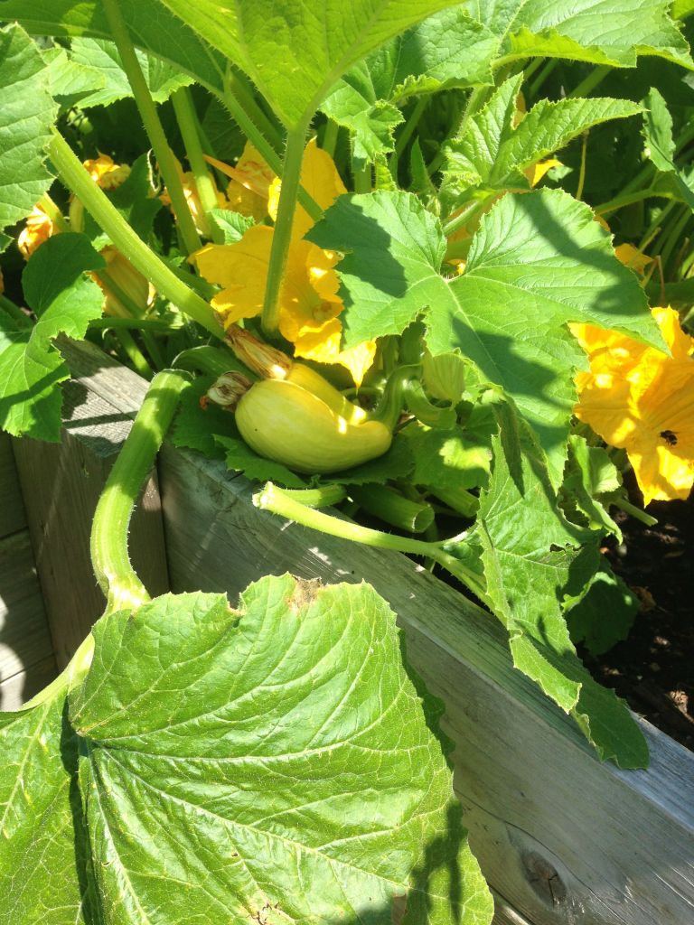 In a city where restaurants pride themselves on their local, farm-to-table offerings,