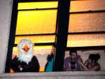 A bald eagle checks out the show.