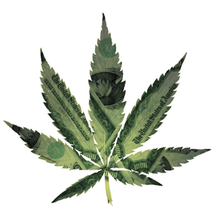 Chalk one up to the law of unintended consequences.Since well before I-502,