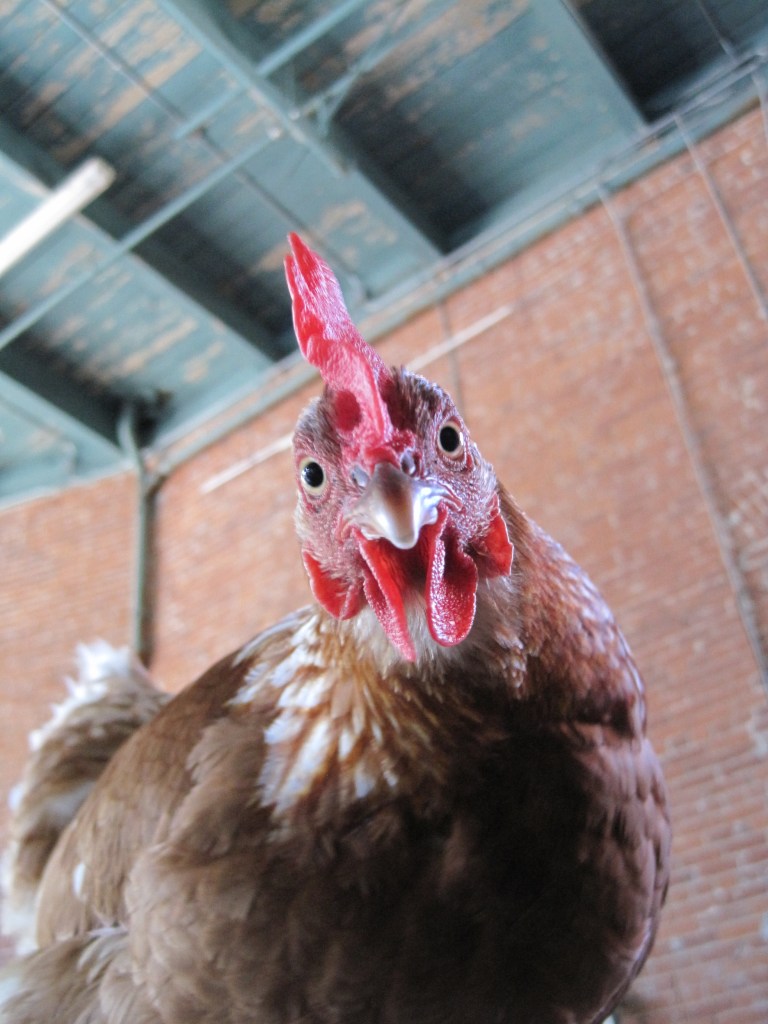 Your entertainment is served.cafenordo.com