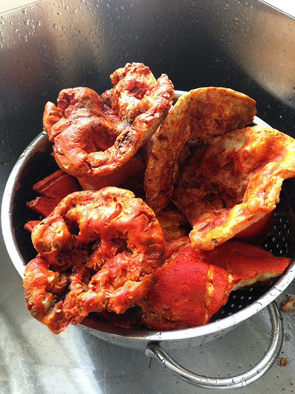 At 9 a.m. sharp, Shane Ryan pulls up to my place in