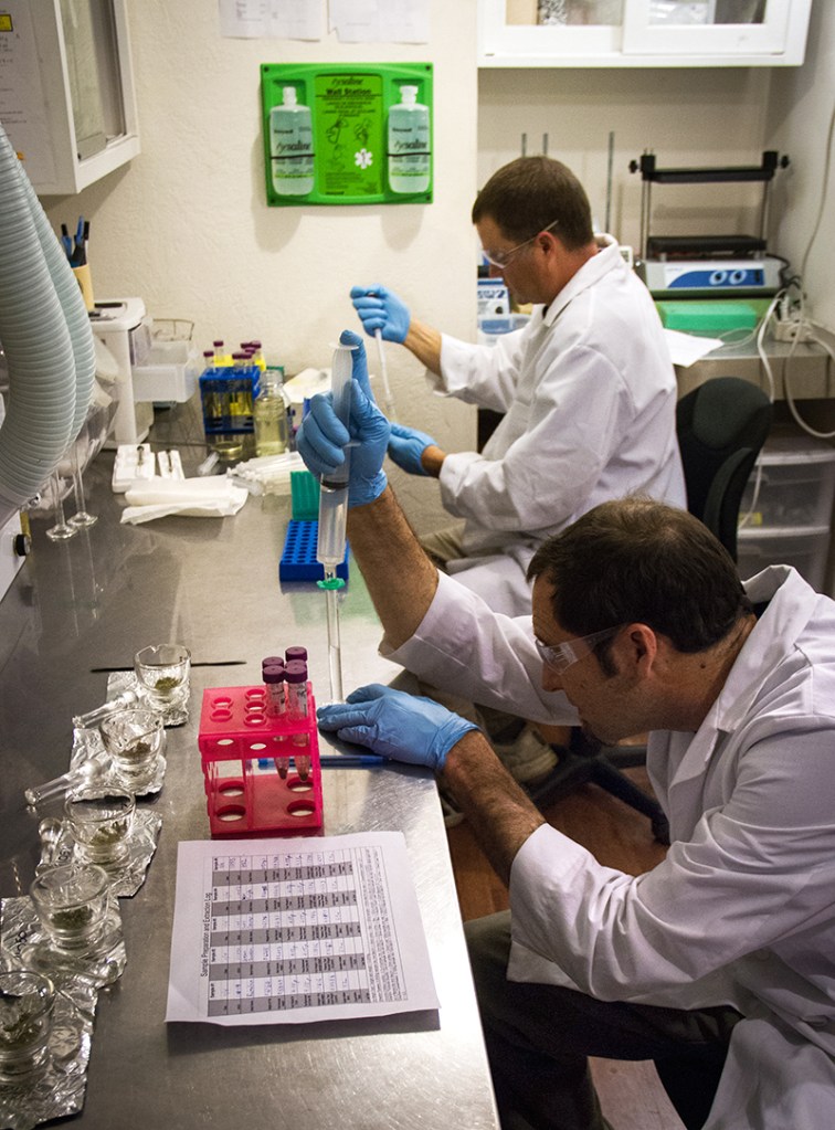 Analytical 360’s staff tests for potency and pathogens.