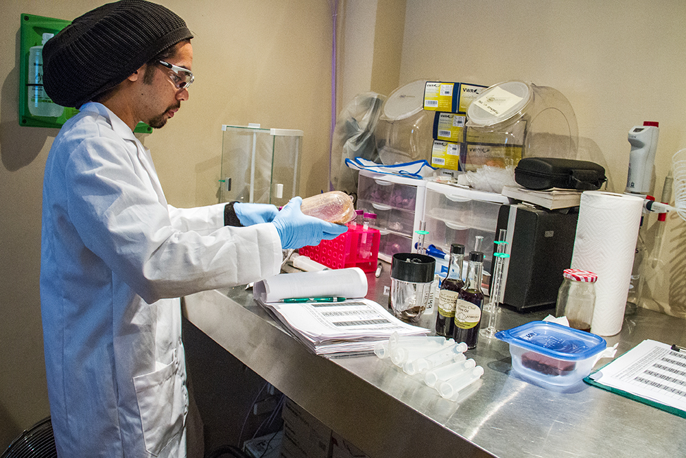 For people who want to start a legal marijuana business, if it’s